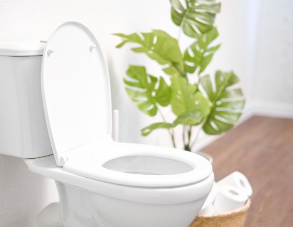Toilet Plumbing Service - Toilet Plumbing Service Riverview, Florida
