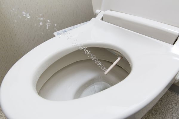Bidet Maintenance - Bidet Maintenance Riverview, Florida